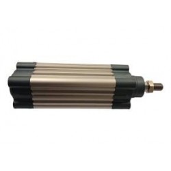 Cylinder