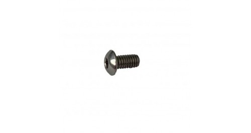 Screw for hook