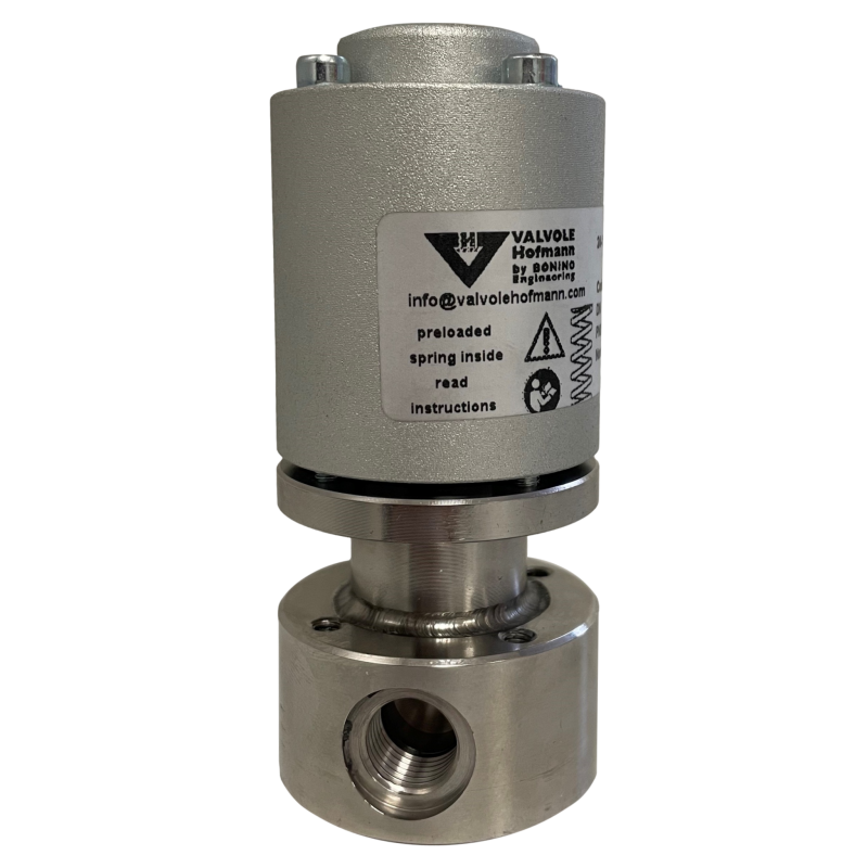 1/4" steam valve