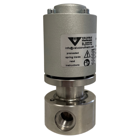 1/4" steam valve