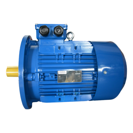 Motor 7,5 kw tropicalized