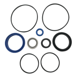 Seals kit for cylinder