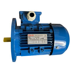 Motor 0,75 Kw roller