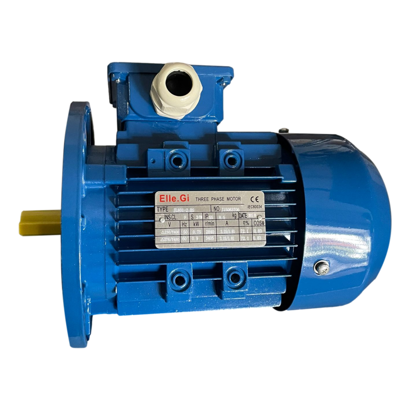 Motor 0,75 Kw roller