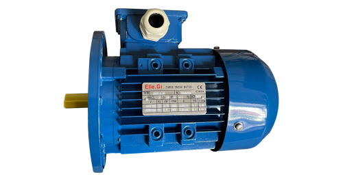 Motor 0,75 Kw roller