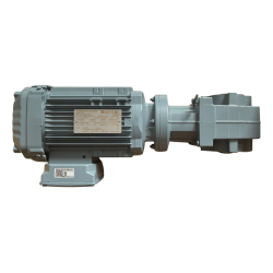 Gearmotor