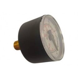 Back pressure gauge D40