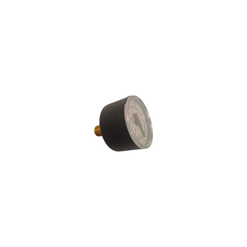 Back pressure gauge D40